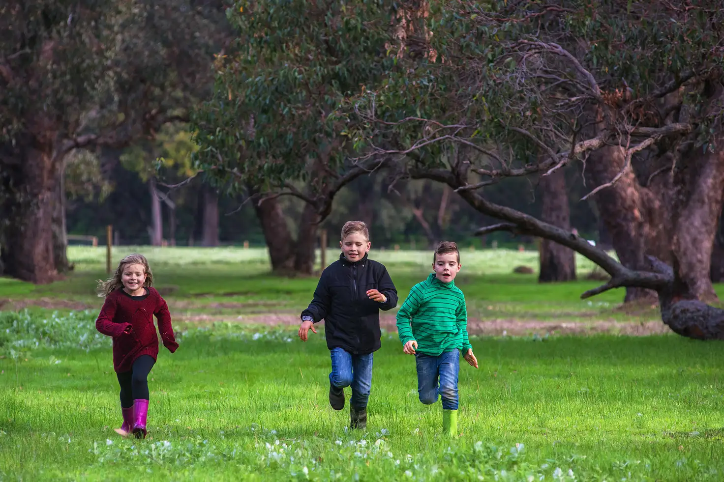 Main view of Homely land listing, Lot 233 Bourne Loop, Stratham Park, Stratham WA 6237