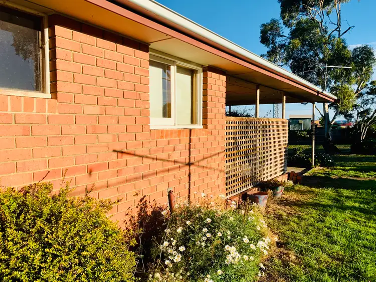 11 Constance Street