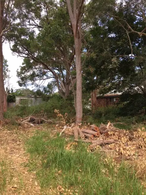 Main view of Homely land listing, 21 Torpey Avenue, Lemon Tree Passage NSW 2319
