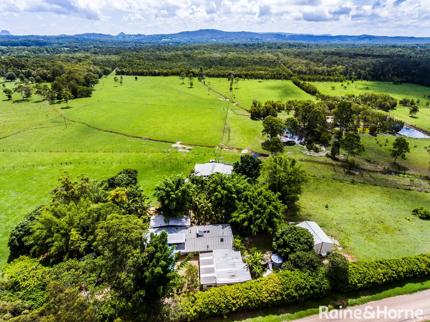 Main view of Homely house listing, 155 Cootharaba Downs Road, Cootharaba QLD 4565