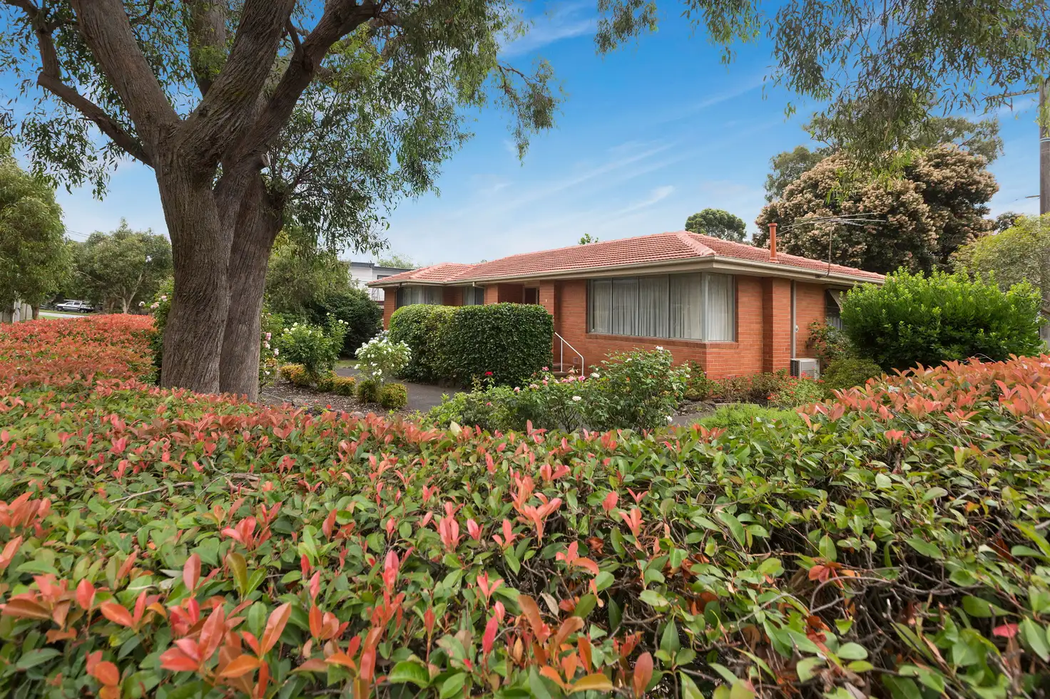 Main view of Homely house listing, 7 Jamboree Avenue, Frankston South VIC 3199