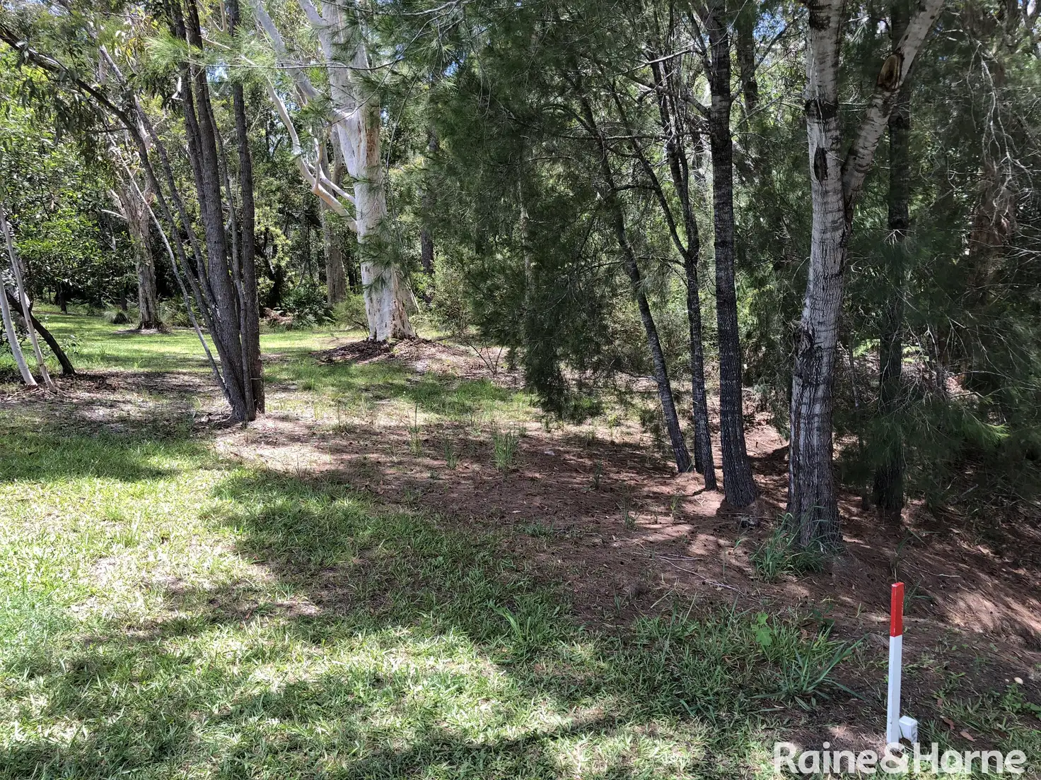 Main view of Homely land listing, 41 Fyshburn Drive, Cooloola Cove QLD 4580