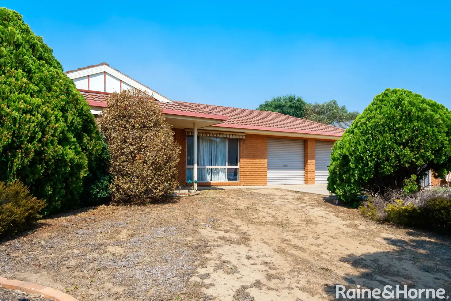 Main view of Homely house listing, 19 Juniper Place, Forest Hill NSW 2651