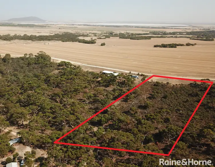 LOT Lot 115 Lot 115 Redgum Road, Coulta SA 5607