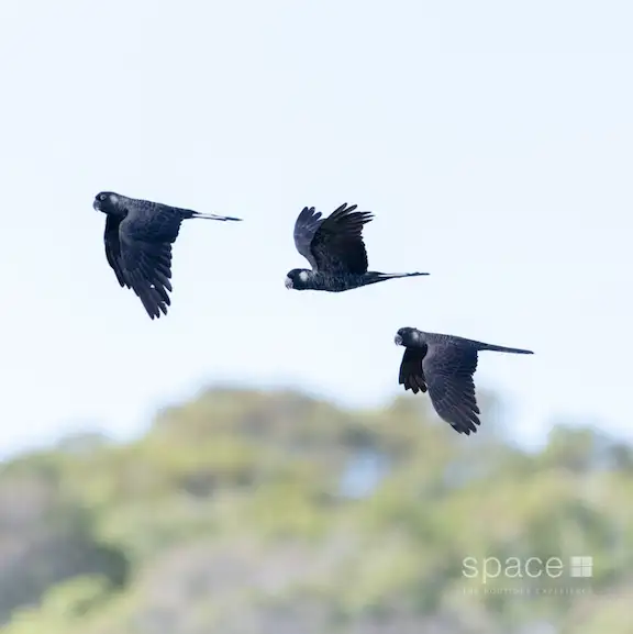 Seventh view of Homely land listing, 220 Horseford Road, Burnside WA 6285