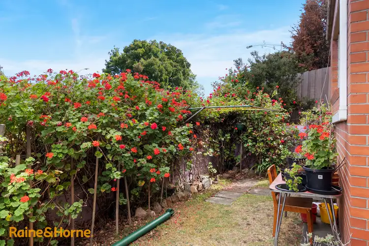 Main view of Homely apartment listing, 4/173 Brooker Avenue, Glebe TAS 7000