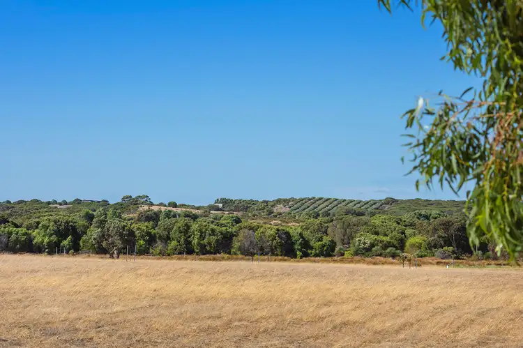 Fifth view of Homely land listing, Lot 101 Moses Rock Road, Wilyabrup WA 6280