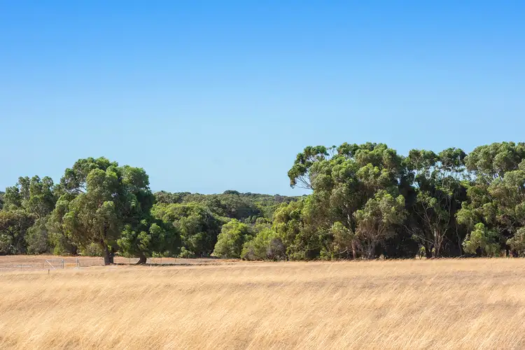 Seventh view of Homely land listing, Lot 101 Moses Rock Road, Wilyabrup WA 6280