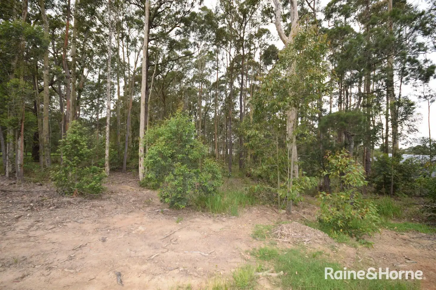 Main view of Homely land listing, 5 Hickory Crescent, Bangalee NSW 2541