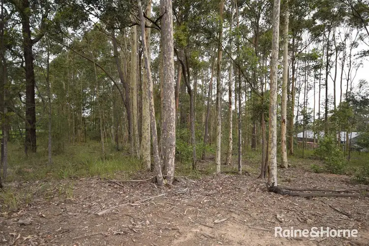 Second view of Homely land listing, 5 Hickory Crescent, Bangalee NSW 2541