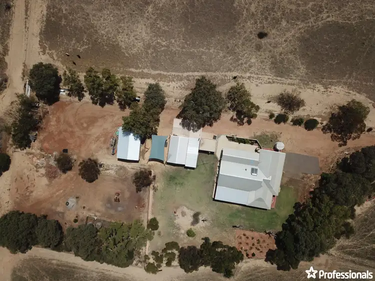 Sixth view of Homely house listing, 255 David Road, Waggrakine WA 6530