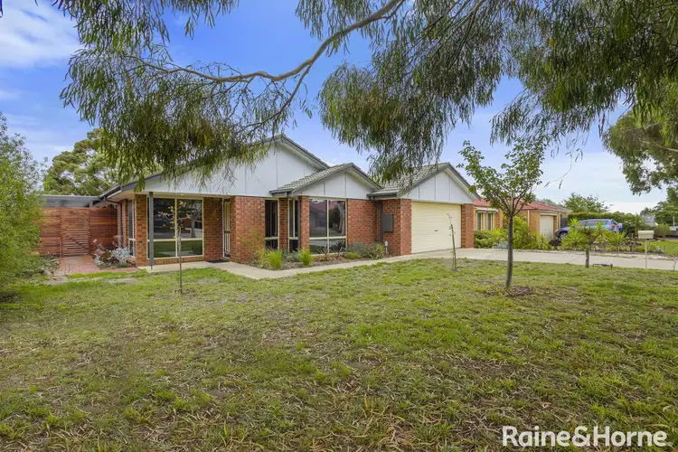 11 Candlebark Court, Riddells Creek VIC 3431