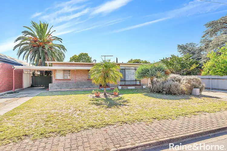 3 Doran Street, Paradise SA 5075