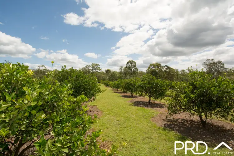 Fourth view of Homely house listing, 521 Mineral Road, Rosedale QLD 4674