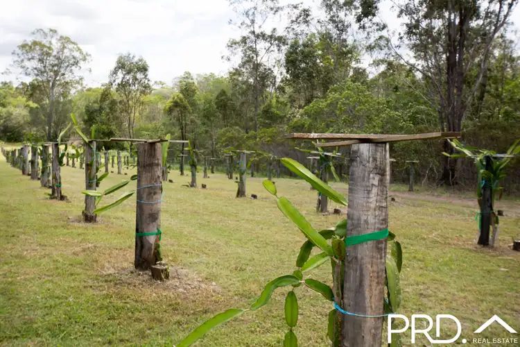 Fifth view of Homely house listing, 521 Mineral Road, Rosedale QLD 4674