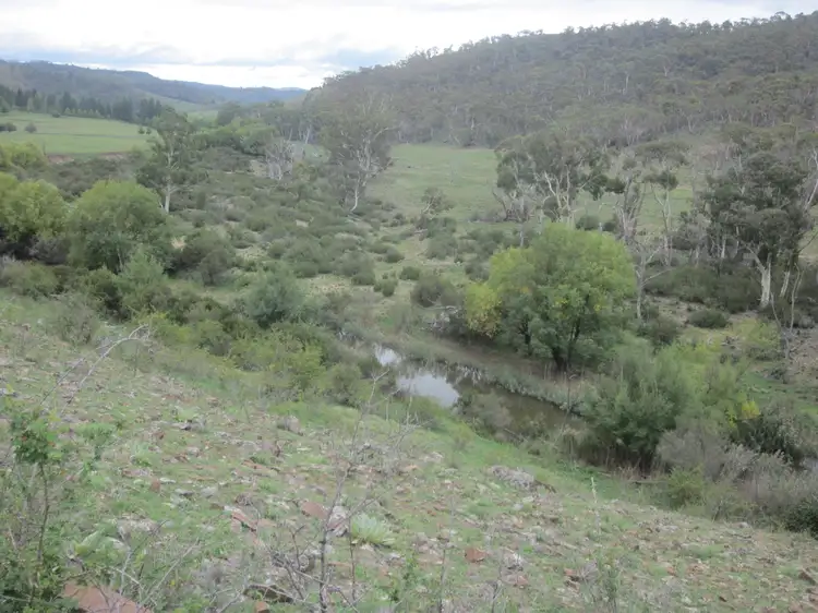 Main view of Homely rural property listing, 1218 Dry Plains Rd, Cooma NSW 2630