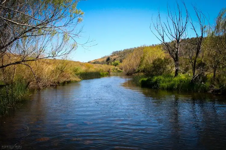 Second view of Homely rural property listing, 1218 Dry Plains Rd, Cooma NSW 2630