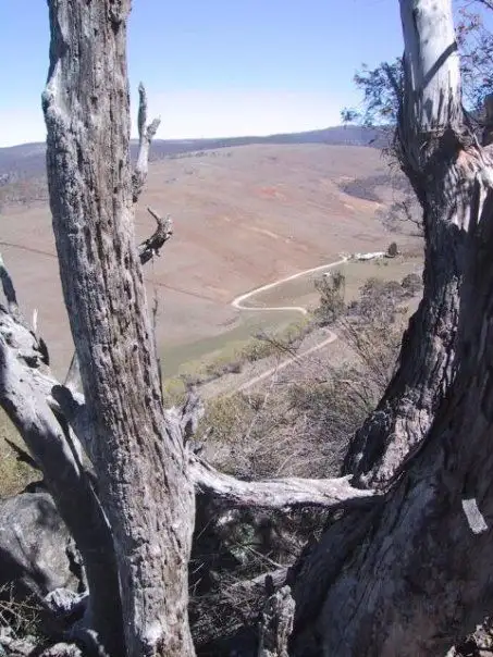 Third view of Homely rural property listing, 1218 Dry Plains Rd, Cooma NSW 2630