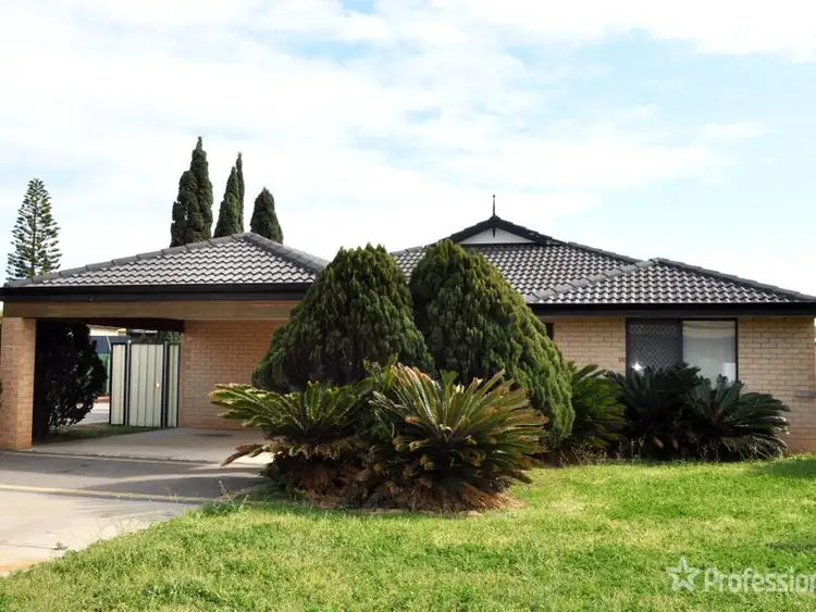 Main view of Homely house listing, 31A Reg Percy Street, Mount Tarcoola WA 6530