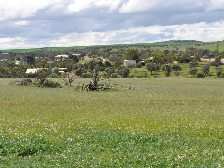 Lot 508 Seventh Avenue, Northampton WA 6535