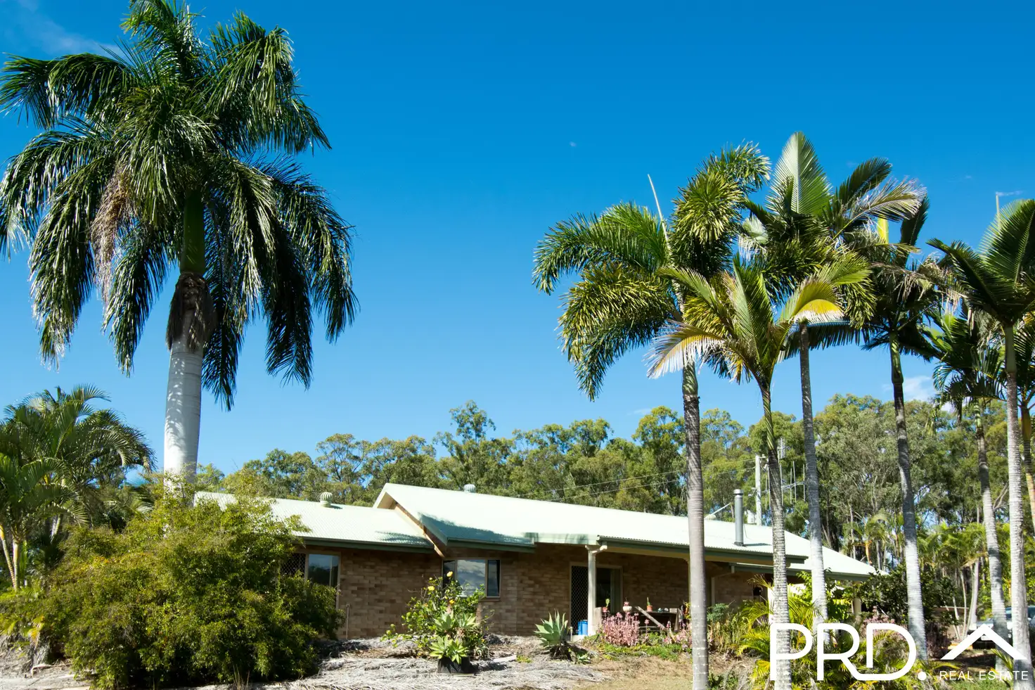 Main view of Homely house listing, 44 Margetts Road, Waterloo QLD 4673