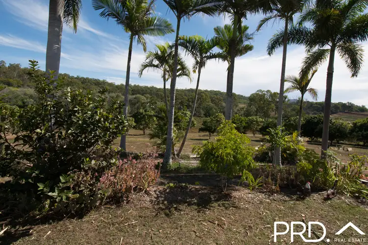 Third view of Homely house listing, 44 Margetts Road, Waterloo QLD 4673