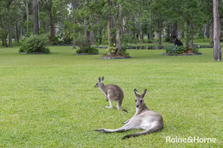 Sixth view of Homely house listing, 199 Heritage Drive, Moonee Beach NSW 2450