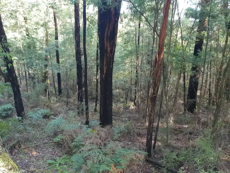 Sixth view of Homely land listing, 245 Lowes Road, Chum Creek VIC 3777