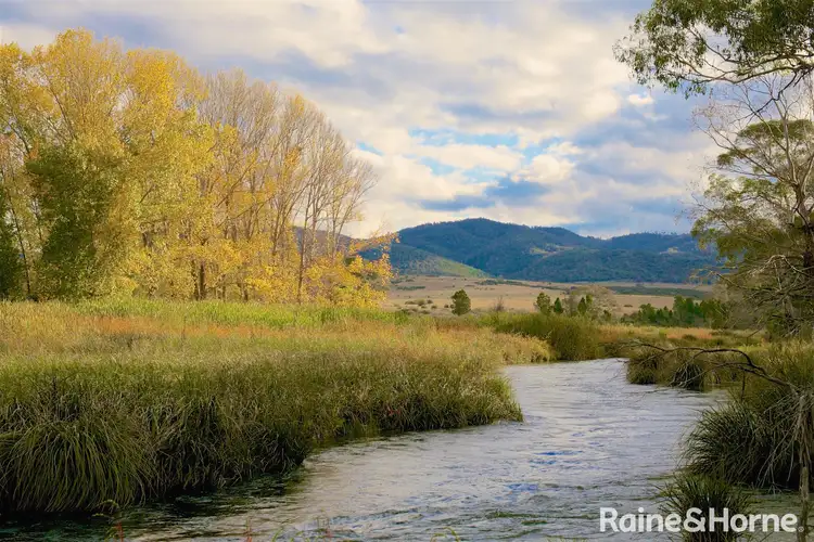 Third view of Homely house listing, 477 Werralong Road, Dalgety NSW 2628