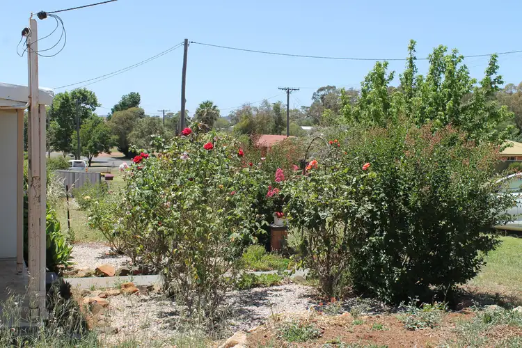 Seventh view of Homely house listing, 35 Bullinda Street, Dunedoo NSW 2844