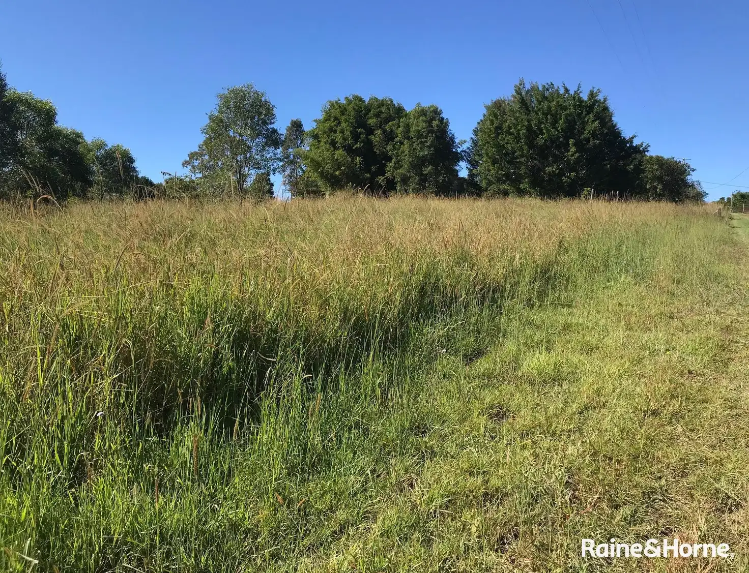 Main view of Homely house listing, 30 Dandaloo Drive, Cootharaba QLD 4565