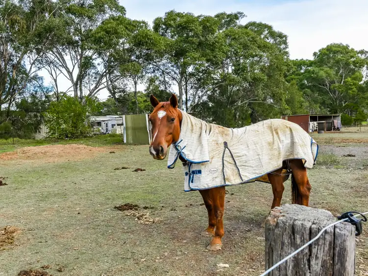 Third view of Homely other listing, 85 King Street, Rossmore NSW 2557