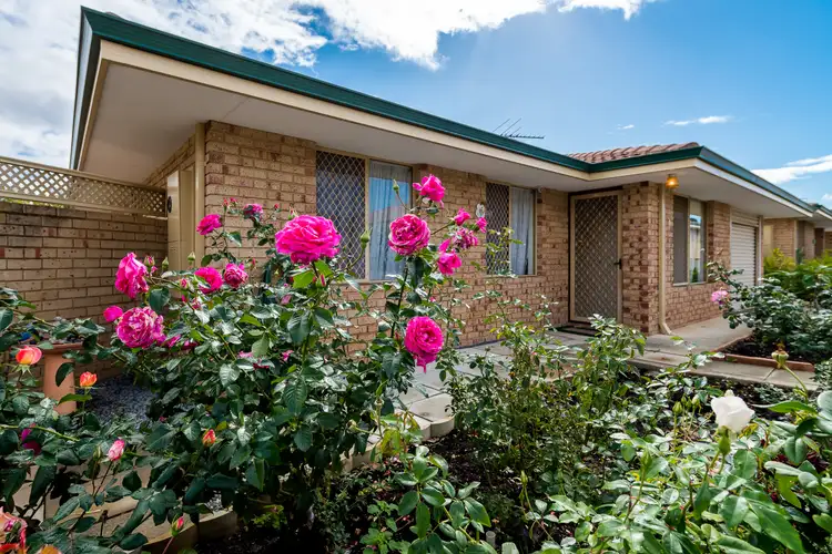Second view of Homely villa listing, 3/12 Attfield Street, Maddington WA 6109