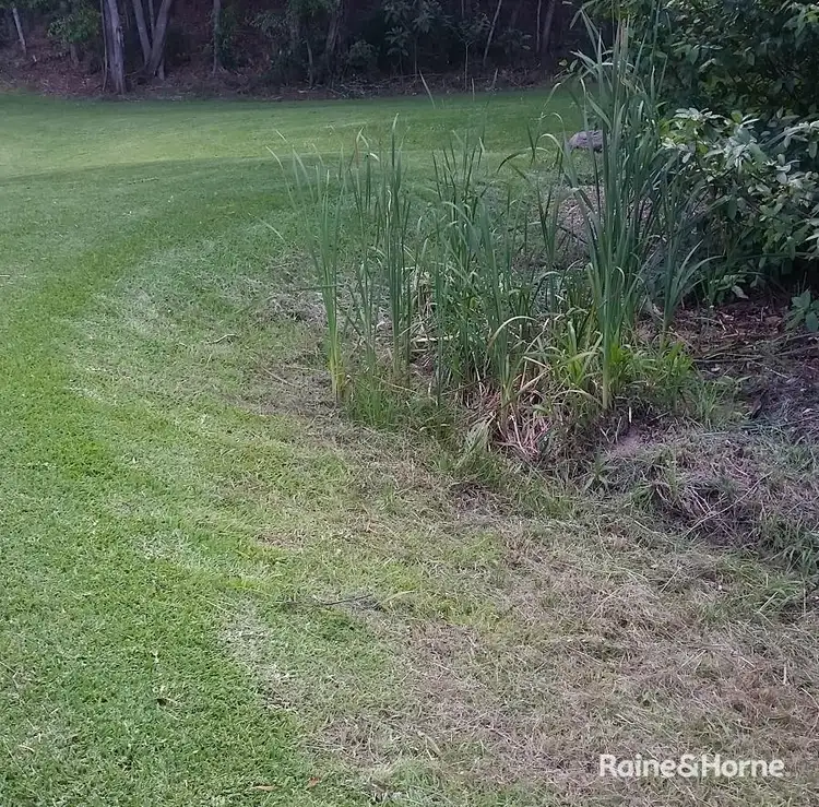 Fifth view of Homely land listing, 30 Saunders Drive, Cooran QLD 4569