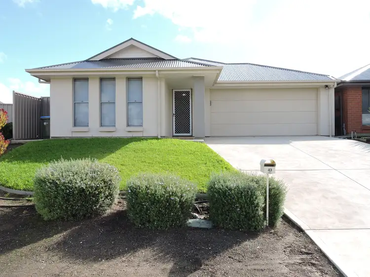 Main view of Homely house listing, 43 Willowbark Crescent, Murray Bridge SA 5253