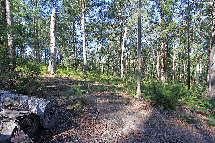 Third view of Homely land listing, 297 Cullendulla Drive, Long Beach NSW 2536