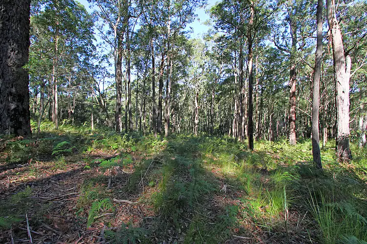 Fourth view of Homely land listing, 297 Cullendulla Drive, Long Beach NSW 2536