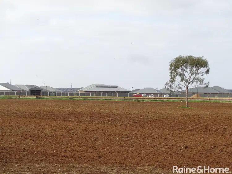 1 Stockyard Road, Two Wells SA 5501