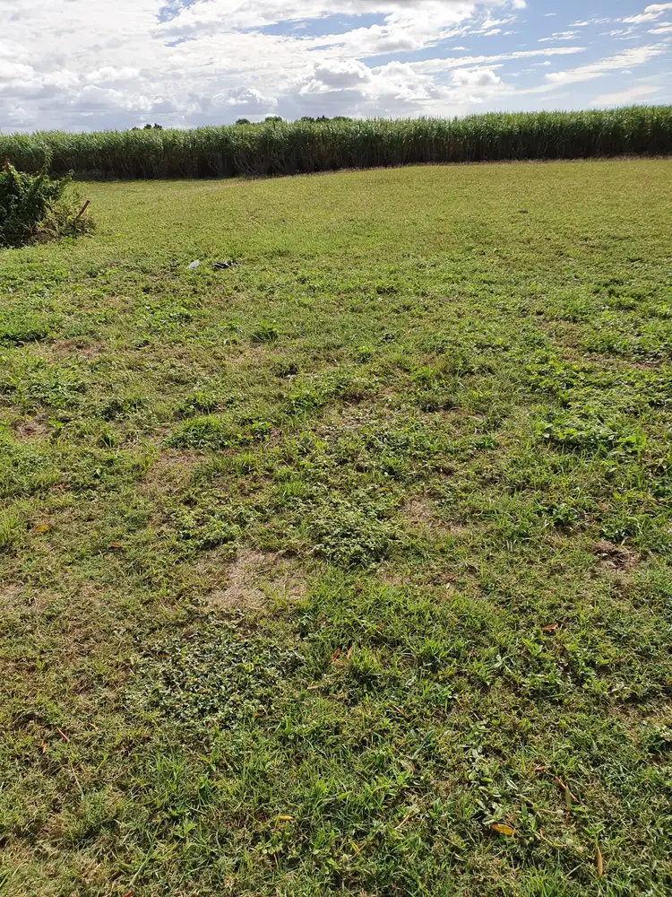 Fifth view of Homely land listing, 87 Gainsborough Drive, Ayr QLD 4807