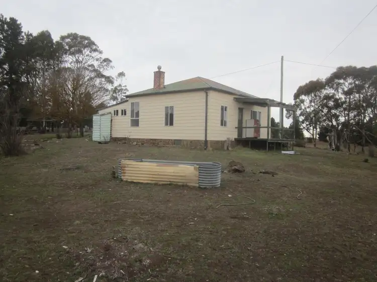 Main view of Homely house listing, 29 Tindall st, Nimmitabel NSW 2631