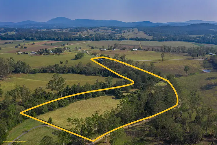 Fifth view of Homely rural property listing, 166 Clarefield Dungay Creek Rd, Upper Rollands Plains NSW 2441
