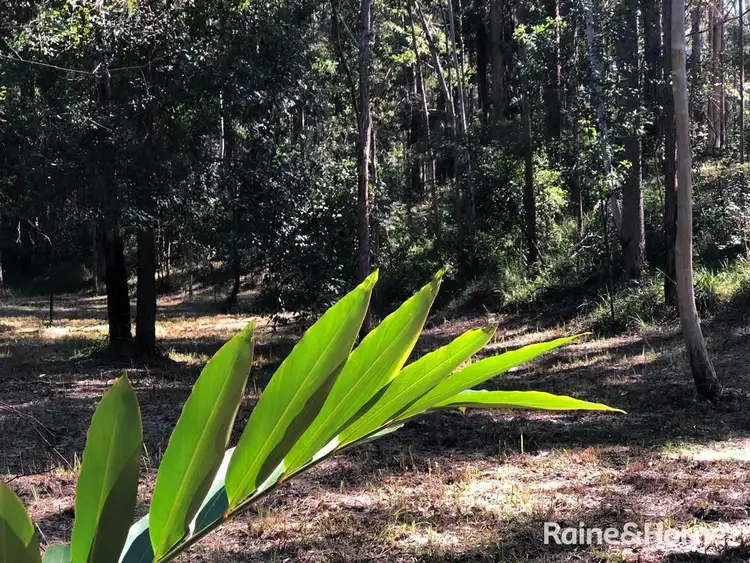 Seventh view of Homely land listing, 40 Mountain Street, Pomona QLD 4568