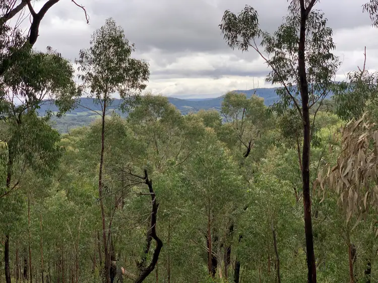 Third view of Homely land listing, 245 Lowes Road, Chum Creek VIC 3777