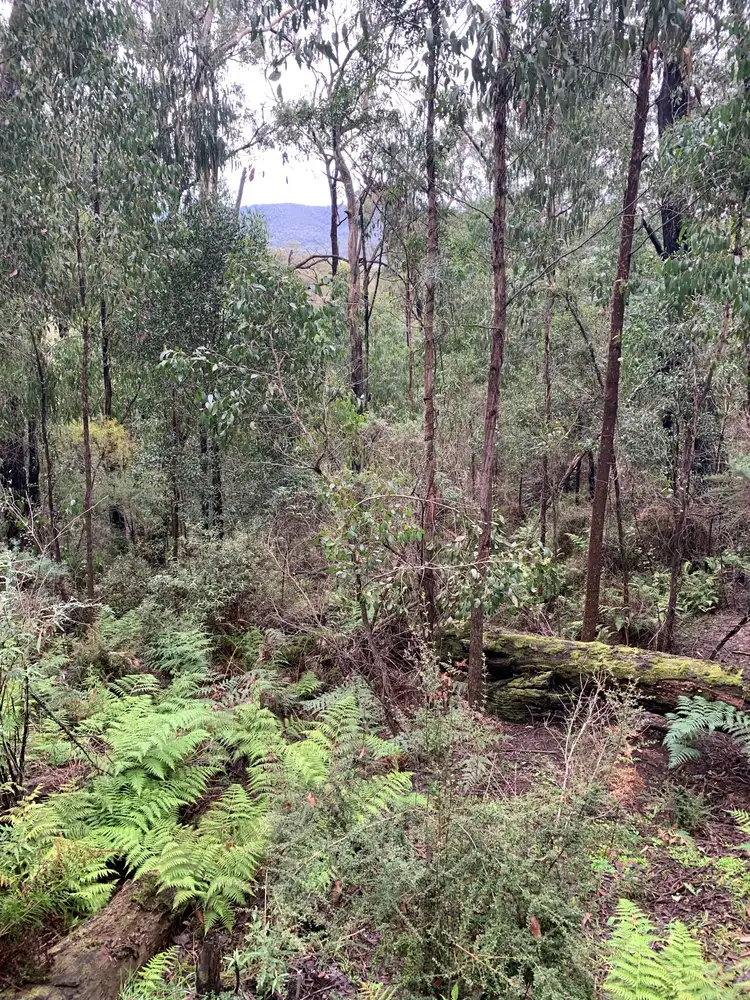 Fourth view of Homely land listing, 245 Lowes Road, Chum Creek VIC 3777