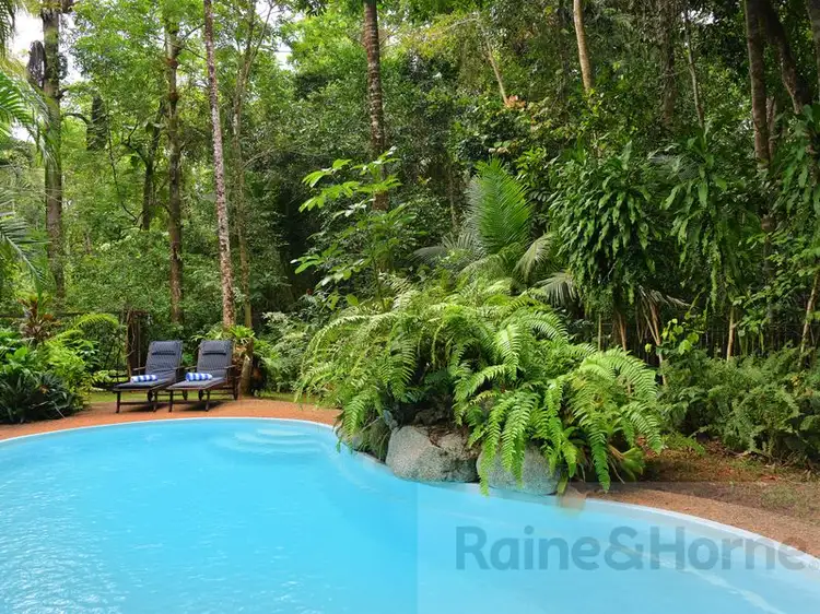 Third view of Homely house listing, 445 Buchanan Creek Road (Wait a While Retreat ), Daintree QLD 4873