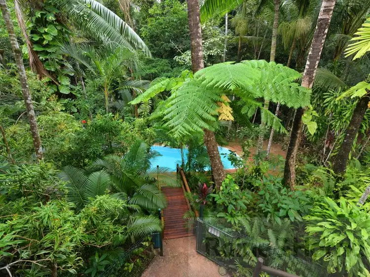 Sixth view of Homely house listing, 445 Buchanan Creek Road (Wait a While Retreat ), Daintree QLD 4873