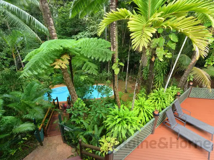 Seventh view of Homely house listing, 445 Buchanan Creek Road (Wait a While Retreat ), Daintree QLD 4873
