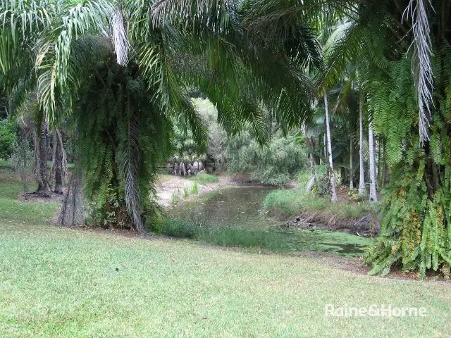 Third view of Homely house listing, 1644 Mossman Mt Molloy Rd, Julatten QLD 4871