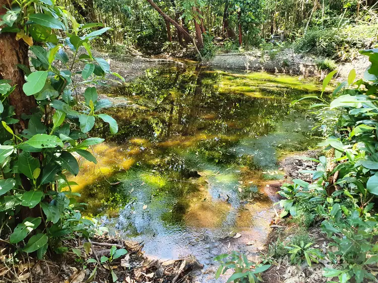Third view of Homely land listing, 195 Bloodwood Road, COW BAY, Daintree QLD 4873