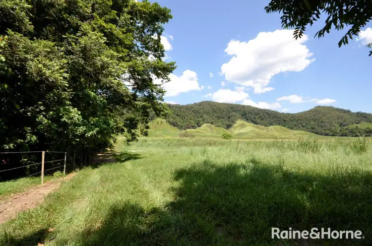 Second view of Homely land listing, LOT 1 Stewart Creek Road (Stewart Creek Valley), Lower Daintree QLD 4873